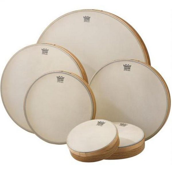 Remo Ambassador Ebony 6"