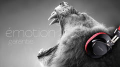 Prodipe 3000BR - Professional Headphone Versatile Red/Black