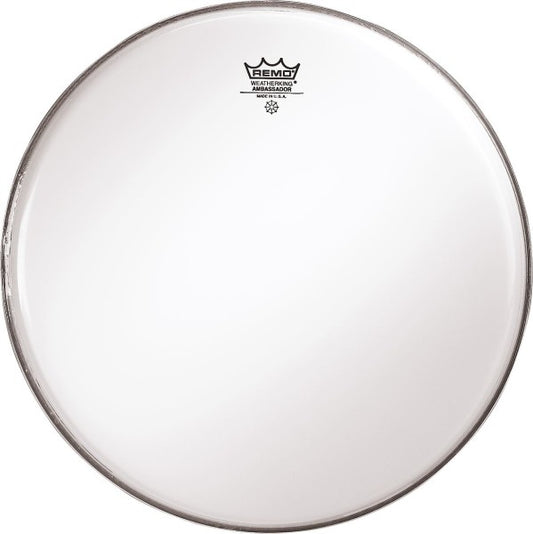 Ambassador Bass Smooth White 20"