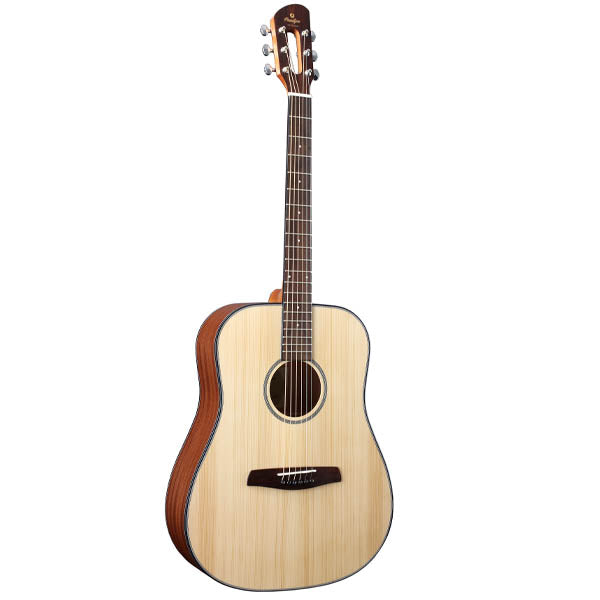 SD50S Acoustic Guitar Dreadnought Cut