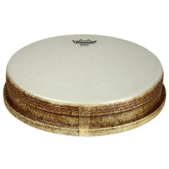 Nuskyn 14" Djembe Head