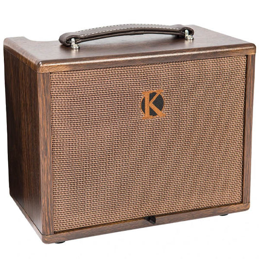 Acoustic Amplifier 45W